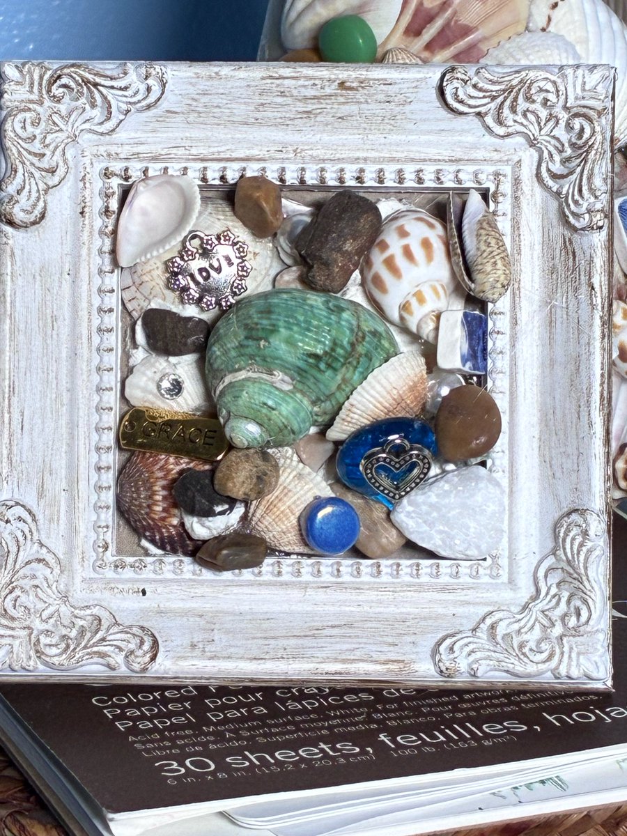 debra_organ's tweet photo. Shell Art, good or bad.. original new art designs

#shells , #seashells, #beachvibes, #art https://t.co/h98gdLvYbJ