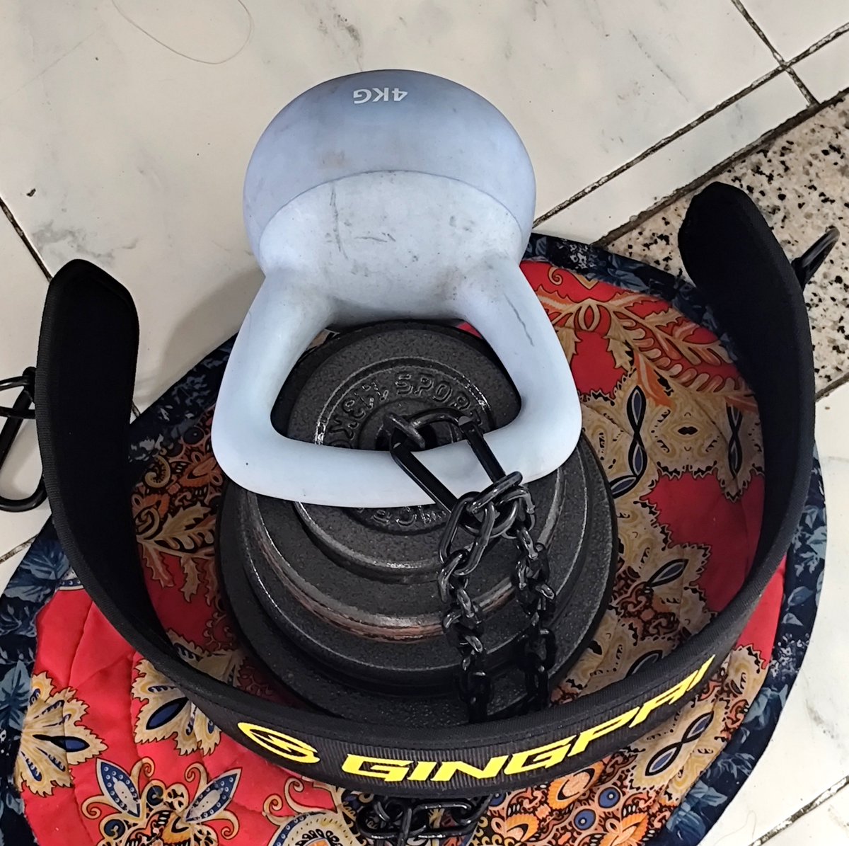 Peesh_san's tweet photo. RAAAAAA!!! My new weights arrived
New personal best on weighted pull ups 66.32lbs >:D 

thats like half my weight kekw (124lbs) https://t.co/ihxIiZbwvg