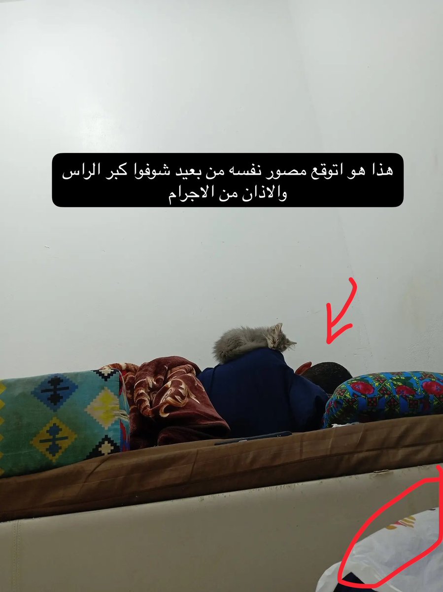 newrm88's tweet photo. #بنقالي_يعذب_القطط_في_السعودية اتوقع والله اعلم انه يشتغل عند ناس والقطوه ذي لهم او لاقيها واخذها كشخ فيها عند الفسيات بنات بلده وبعدين قام يعذبها يعني شوفي يافسيه انا حنون حبيني وبعدين الفسيه قالت لاوالله مبين عليك مجرم مايمشي علي فيلمك وحط حرته بالبسه😂 https://t.co/VzVGeIkzg3