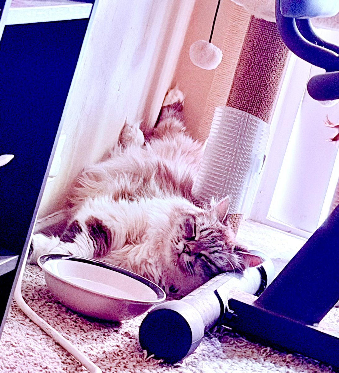 OtakuFromMars's tweet photo. #toki https://t.co/eBzZDebIsE