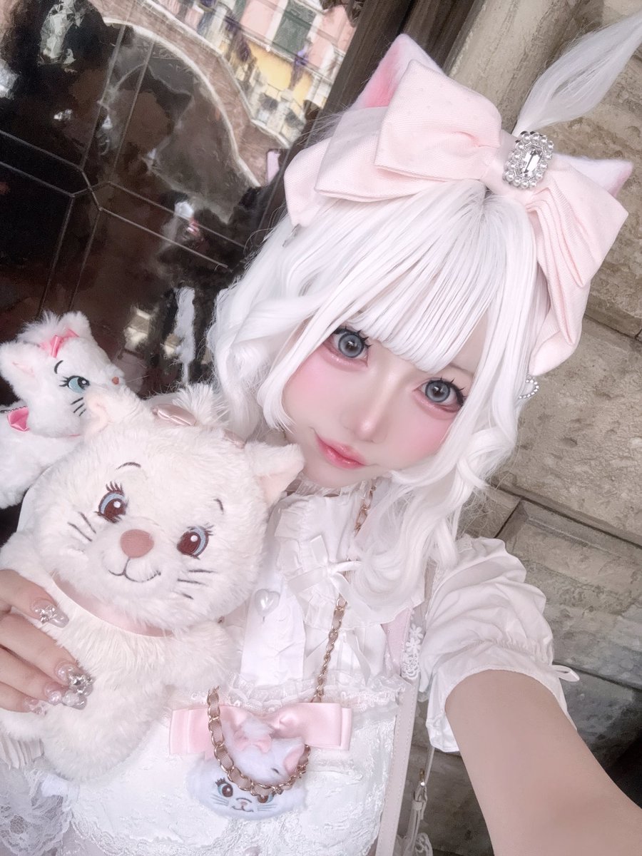y88755's tweet photo. おしゃキャのかぞくみんなでいる！🐈⸒⸒⸒⸒🎀

 #Dハロ仮装2026 
 #Dハロ仮装 https://t.co/gwmud1SQPS