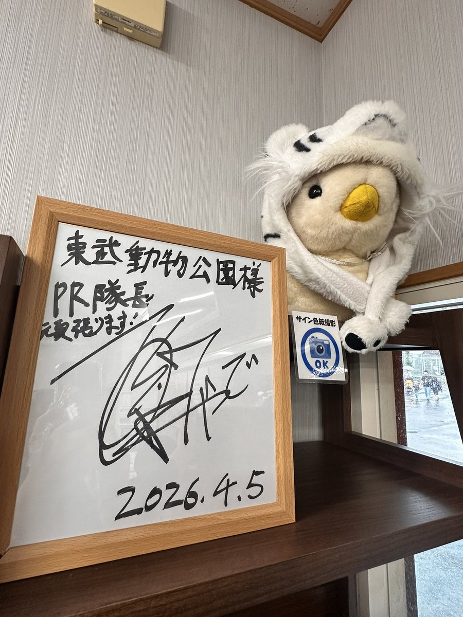 mari87xj's tweet photo. 思いのほかスゴい雨で退散☔
タカシくんのPR姿を全部見れたかな？🤭🤍後期になったらまた来よ😍 
#HAPPY_TAKASHI_YADSY 
#タカシPR隊長
#東武動物公園 https://t.co/JfovbP4RQw