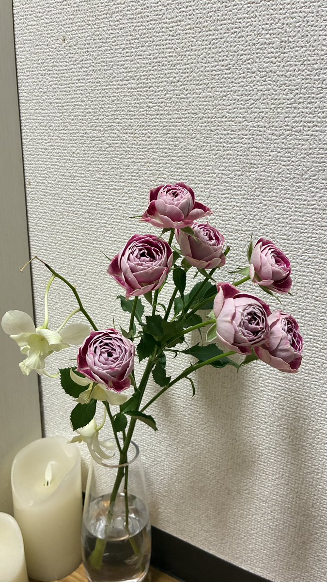 penelope817's tweet photo. ジェイミーカラム、宇野昌磨、ミニ薔薇。
私は背の高くないものが好きなのかもしれない。 https://t.co/0MiQTyLxl4