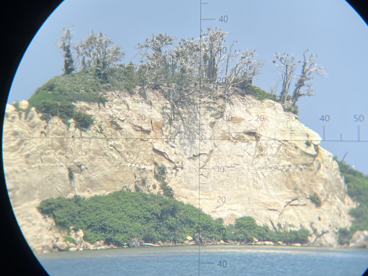 chhkkns's tweet photo. 2026/09/21 @ #見附島

元々の木々はもうだめそうだ・・・
下草によって土壌が育って、鳥たちが運んできた種からまた新しい木が育っていくといいな

森が戻るのに20～30年かかるらしいが、より厳しい環境だからもっとかかるかな？

左：2026/07/20
右：2026/09/21

#能登 #奥能登 #いまノト https://t.co/11f1vKkbaR