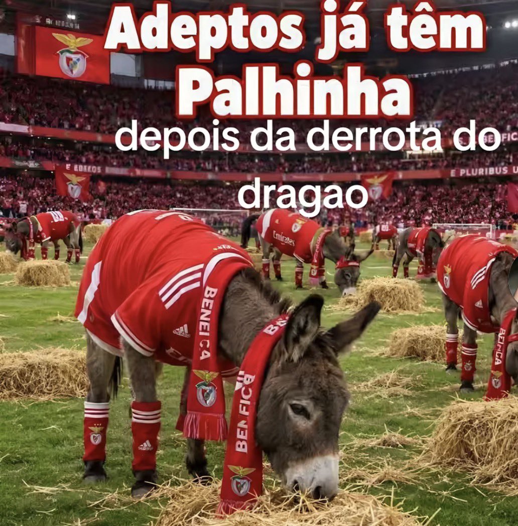 fernands78's tweet photo. @pmbcbf https://t.co/7aqQnM9or0
