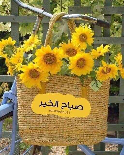 Yassoo169's tweet photo. باقة ورد  اقدمها لكم 

صباحكم جميل وتتيسر فيه كل أموركم 

صباح الخير. https://t.co/eFoSZO1H5f