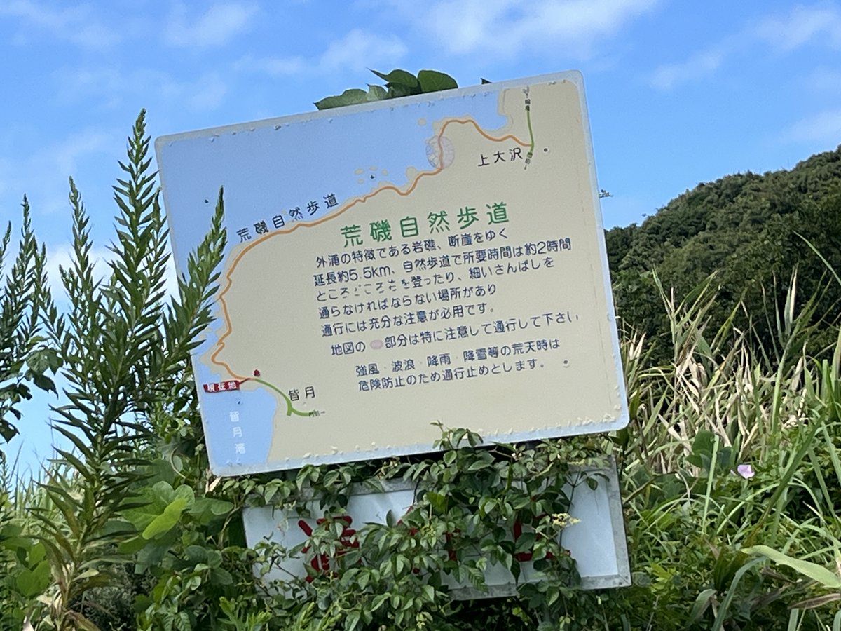 chhkkns's tweet photo. 2026/09/22 @ #皆月海岸

上大沢まで歩ける荒磯自然歩道
21世紀に入ってからもしばらくは通れたようだが、今はメンテされておらず「通行止め」になっている
歩いてみたかった

夏を過ぎたところなので、入り口と思しきところは草がすごい(人の痕なのか、獣道なのか)

#能登 #奥能登 #いまノト https://t.co/fUBQRLwrJW