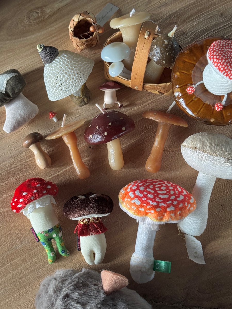 raya7474's tweet photo. 버섯 춤, 버섯 춤… 버섯을 잔뜩 모아 바구니에 담자… 🍄 https://t.co/ns7UYmGBsu
