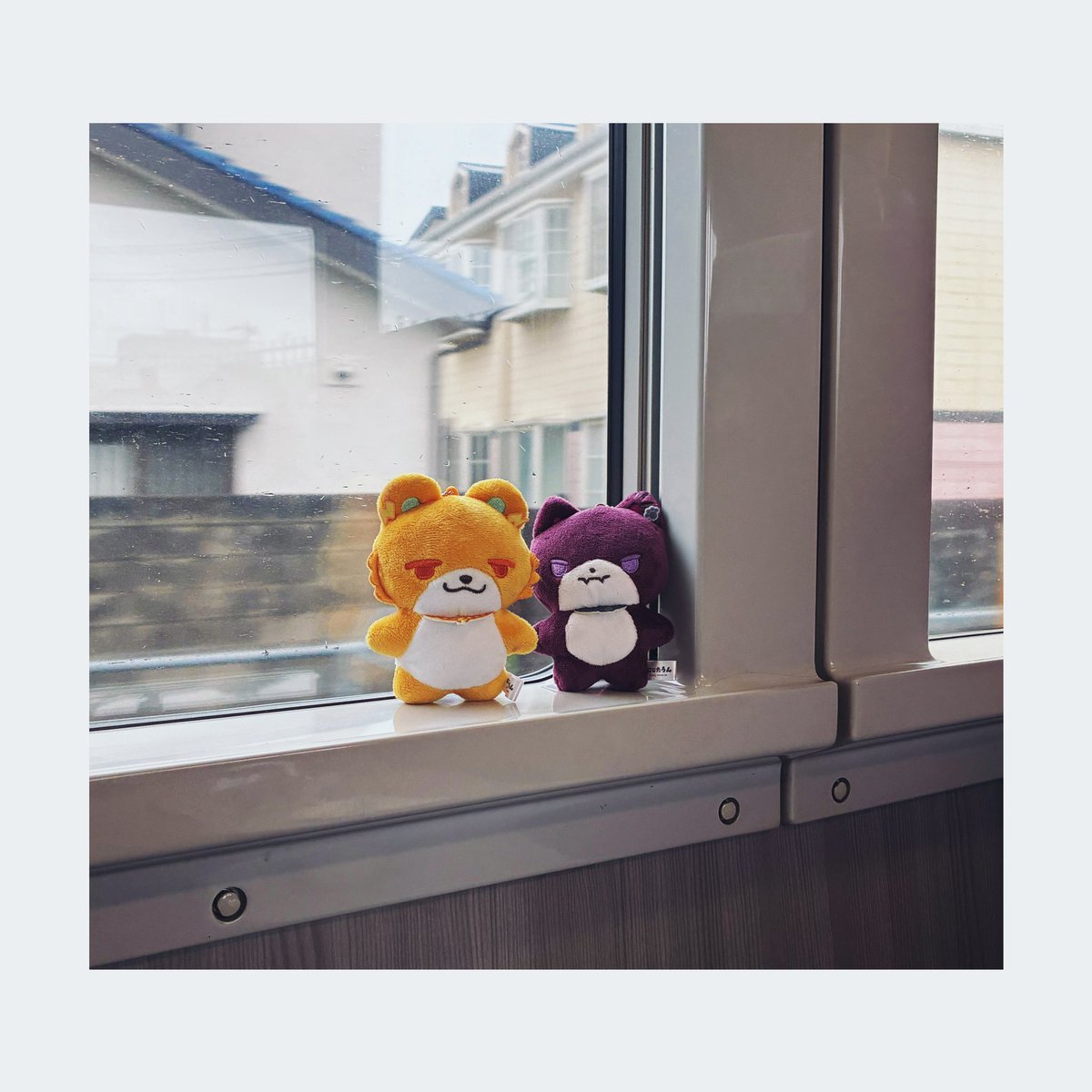 hakka_s85's tweet photo. どこ行くんだろうね

どこ行くの？ https://t.co/duajDa30SY