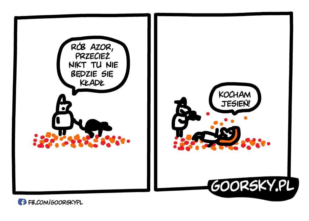 goorsky_pl's tweet photo. Nadchodzą Jesieniary 😎 #goorsky #humor #jesien #liscie #pogoda #jesieniary https://t.co/khtlpE5l2c