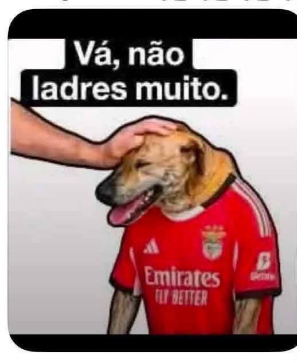 fernands78's tweet photo. @TUDOABENFICA https://t.co/txJE4YbWQ2