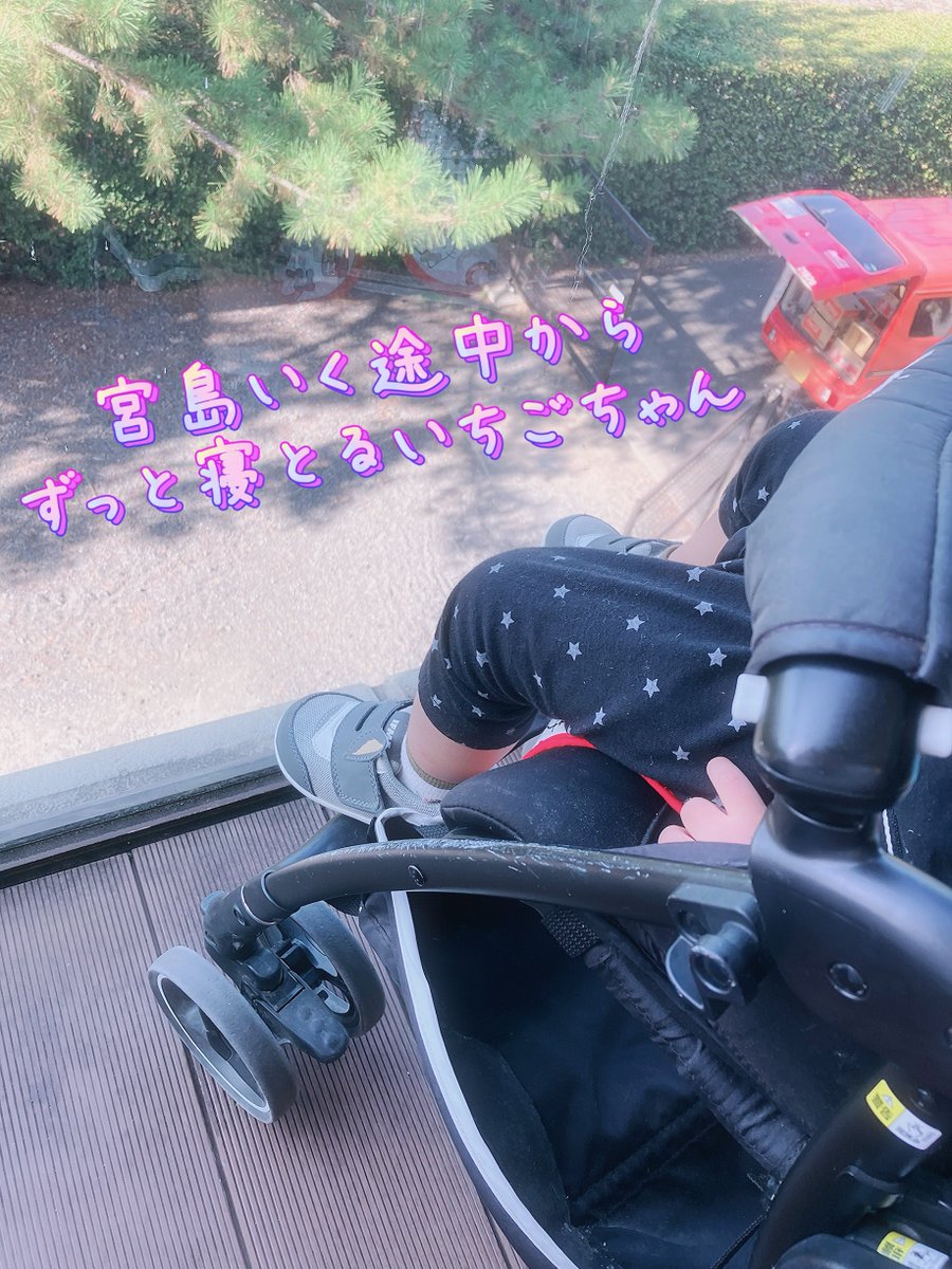 Ichigomoon1315's tweet photo. 宮島きてフライドポテトしか食べとらん…

揚げもみじ… https://t.co/Ie7sdUdeE5