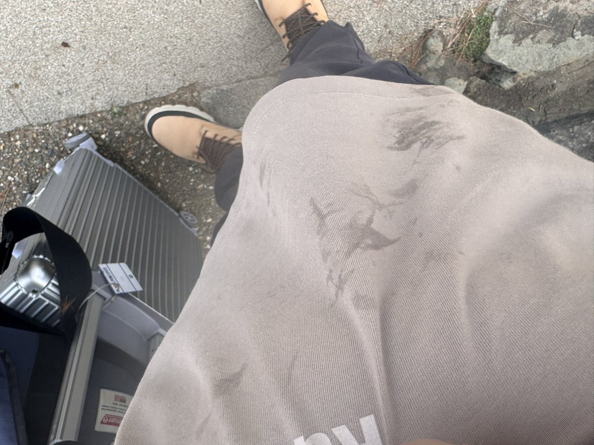 c466939086's tweet photo. 一瞬で鹿さんたちに包囲されて、鹿せんべい渡さないと今度は俺のTシャツ食い始めるんだけど https://t.co/e3rY4eN5St
