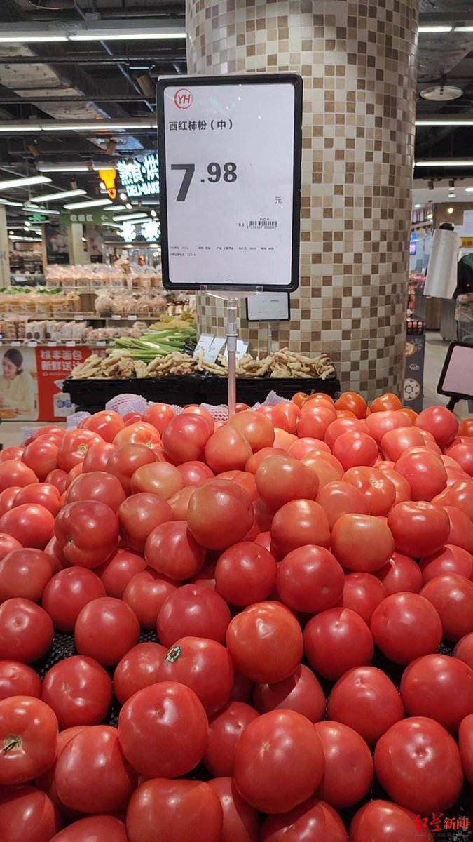 BettinaDepbu's tweet photo. Fresh seasonal tomatoes at $2.99/lb! Crisp, juicy, and perfect for salads or pasta. Grab yours before they sell out! https://t.co/cueugfXYMT