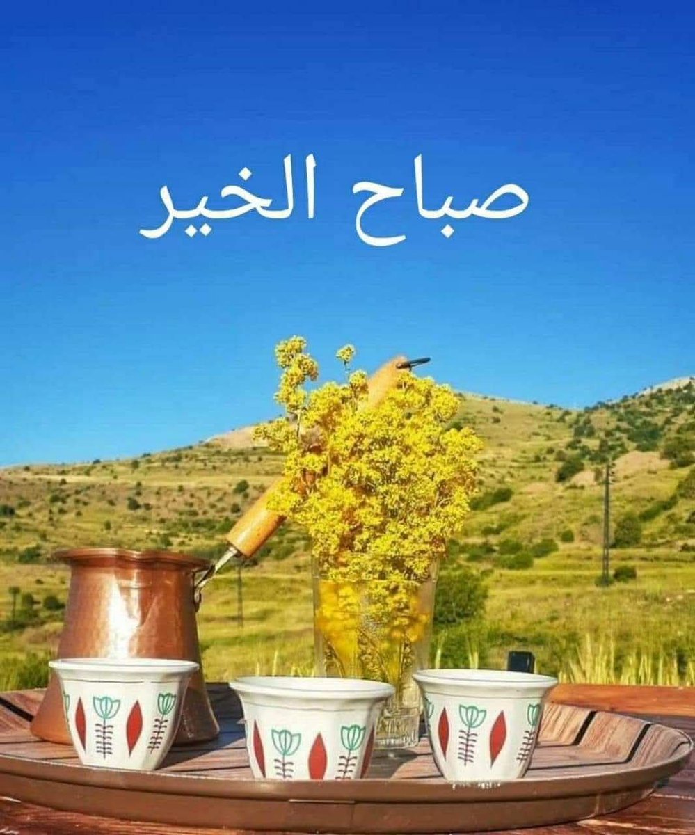 bd_bas14702's tweet photo. @AliAlHawaj10 https://t.co/aRL7z9L7hx
