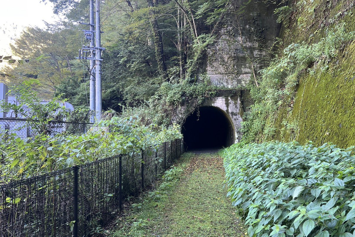 shincamp555's tweet photo. ミステリートンネル😱
アプトいちしろ駅からキャンプ場までのトンネルです
#ゆるキャン△ https://t.co/dyiU2EETBx