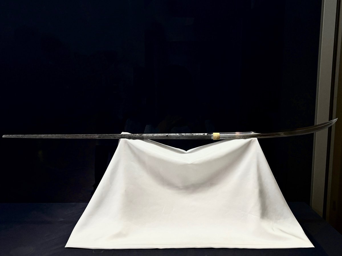 irachinekochan's tweet photo. 小竜よりも10年くらい前に打たれた景光の太刀と 景光作の薙刀も展示されてた🐉 https://t.co/q45AreOm9F