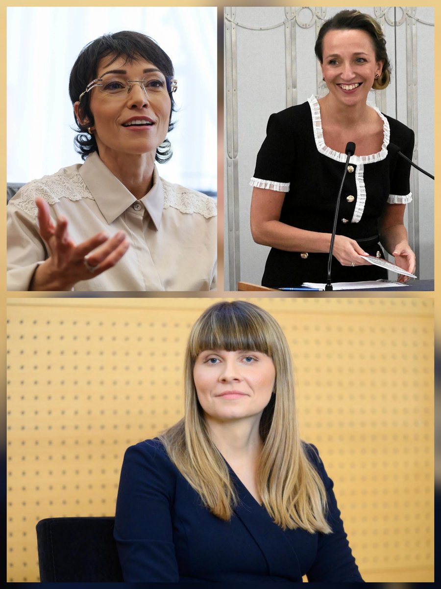 PanP23929's tweet photo. Absurdalna twarz obecnego rządu:

- Monika Horna-Cieślak -> Rzecznik Praw Dziecka

- Sylwia Gregorczyk-Abram -> Rzecznik Praw Obywatelskich

- Barbara Mróz-Gorgoń -> Rzecznik (minister) marki Polska

Skąd oni je biorą XD https://t.co/Op1HQVXvZS