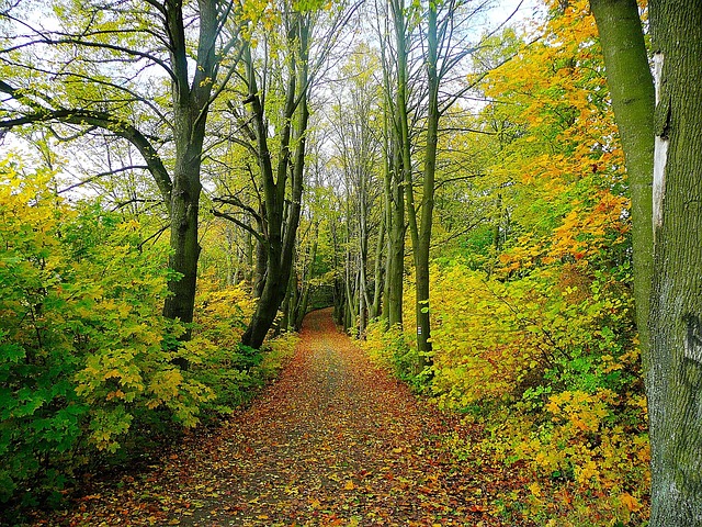 VinVinnicius's tweet photo. Morning thoughts feel lighter today and 🥰 I''m grateful for the little things and I''m grateful for the little things https://t.co/yDKO1gE8Tm
