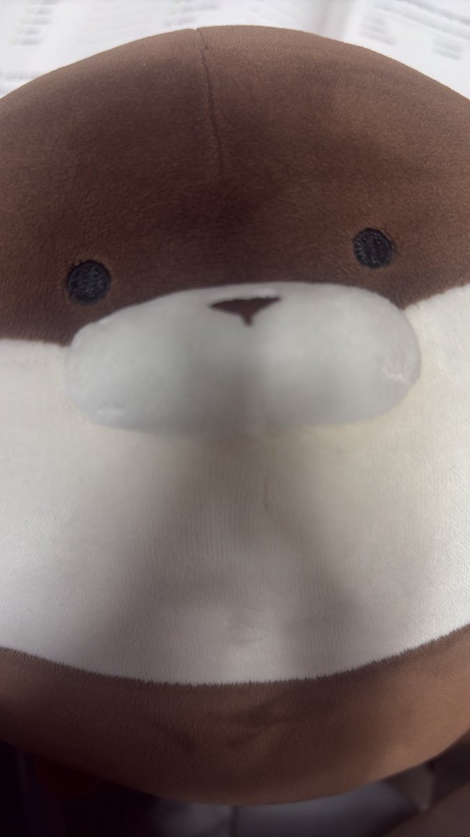 D_jihwan99's tweet photo. tmi 릴레이
저는수달을좋아합니다 그리고이건제수달인데 귀엽죠집에 세마리더잇음
@DokoHjj @che0l__ @shia_l 
트찐이라서 ㅈㅅ 스루하셔도됩니다// https://t.co/t0dGLdOBwX