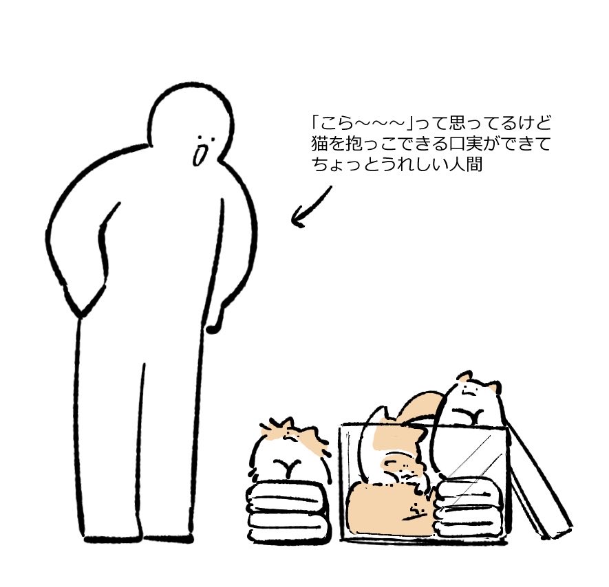 mochiwasa_bi's tweet photo. https://t.co/UJzkY3p0UL