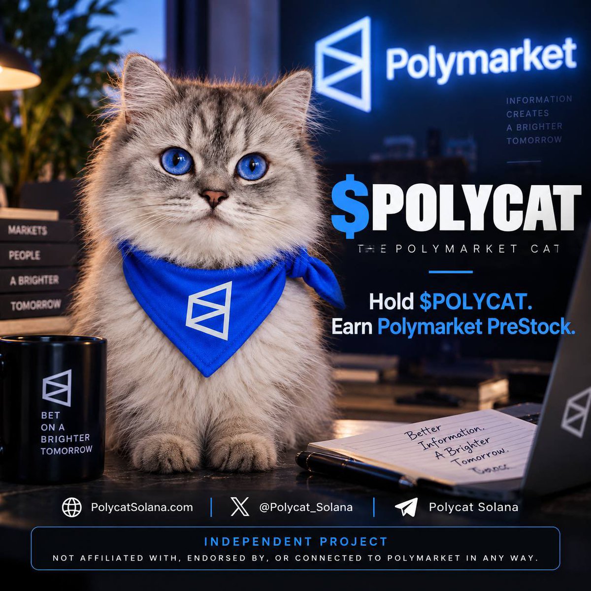 PolyCat_Solana's tweet photo. Super excited for the future of $POLYCAT 

We are hosting our first spaces tomorrow and we are getting the whole bubble maps Cluster figured out as well..💎

We want to be very transparent and we are here for the long run

This has the potential of getting to 8-9 figure Market Caps and we aren’t stopping until we make that happen

We are just getting started so buckle up🔥