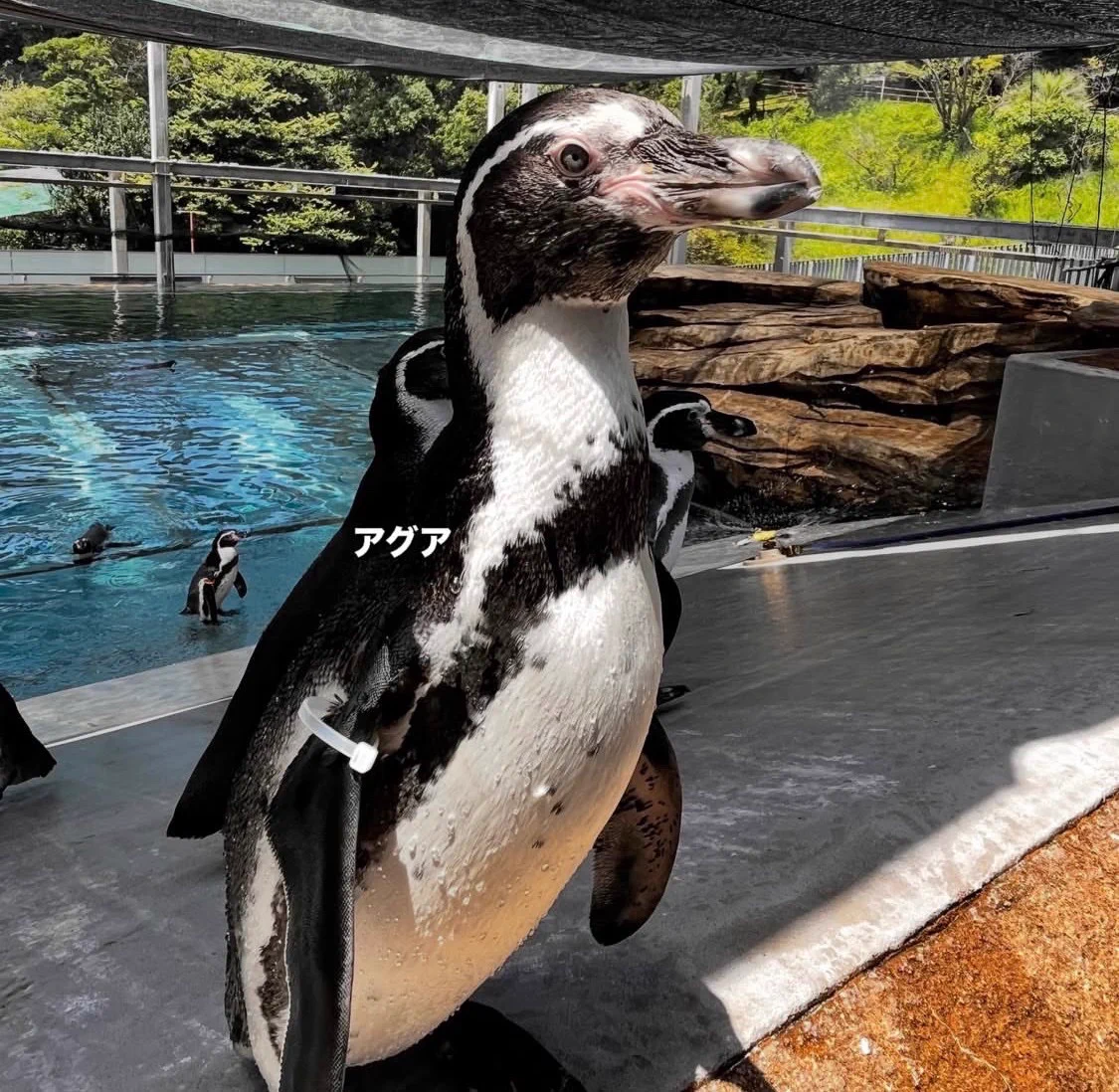 当時のメディア報道・掲載写真