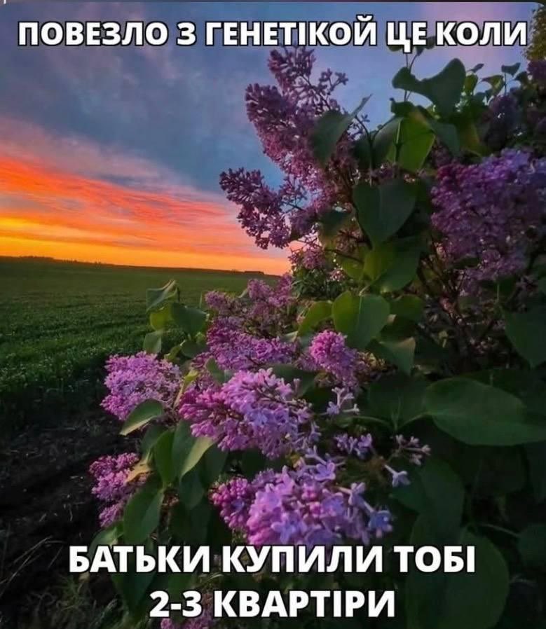 mil_deva's tweet photo. Не повезло(( https://t.co/WLULUQJcnh