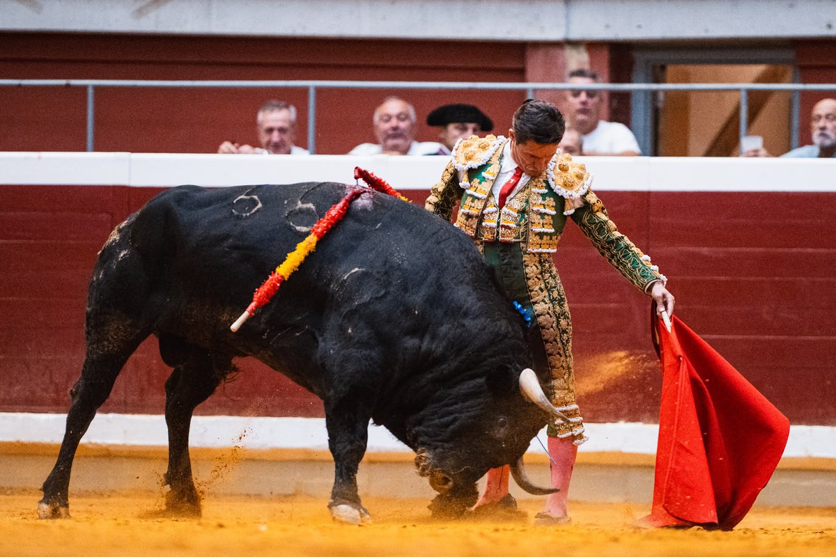 zabaladelaserna's tweet photo. Cuando principió Urdiales la faena, con toda su torería al paso, los focos se fundieron, extendiendo la penumbra. La sauna quedó a oscuras. La luz emanaba de abajo, la luz del toreo, la luz de Diego Urdiales. Relajado, yéndose con la embestida en su derecha, alcanzó los sueños de niño con su izquierda. Asía el palillo como si se le fuera a caer -apenas sostenido en la punta de los dedos- y jugaba con su muñeca a traerse la embestida, a fundirse con ella y soltarla por debajo, allí detrás, adquiriendo una profundidad de hombre. Los oles más roncos del mundo y algunos lagrimones rodaban por los tendidos. @ElMundoToros 
Foto: BMF /Estefanía Azul