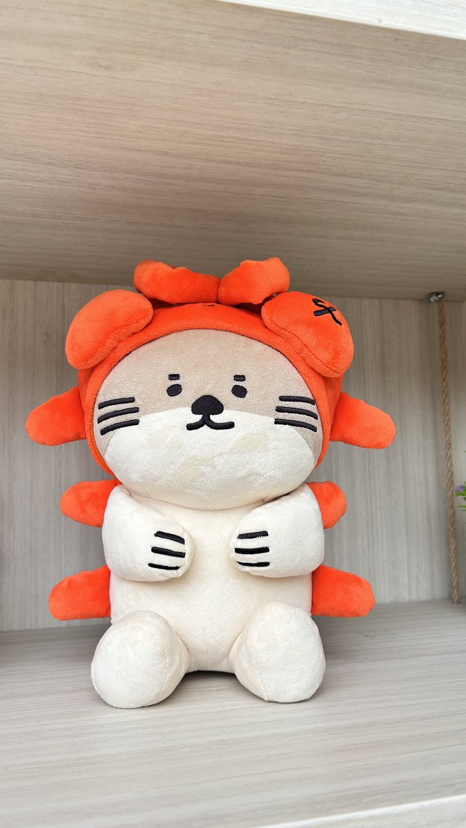 lekky31848's tweet photo. วันนี้มาเติมหลาน
#NONGNOOONG 
#GEMMHOUSE https://t.co/fCSvPRQZuP