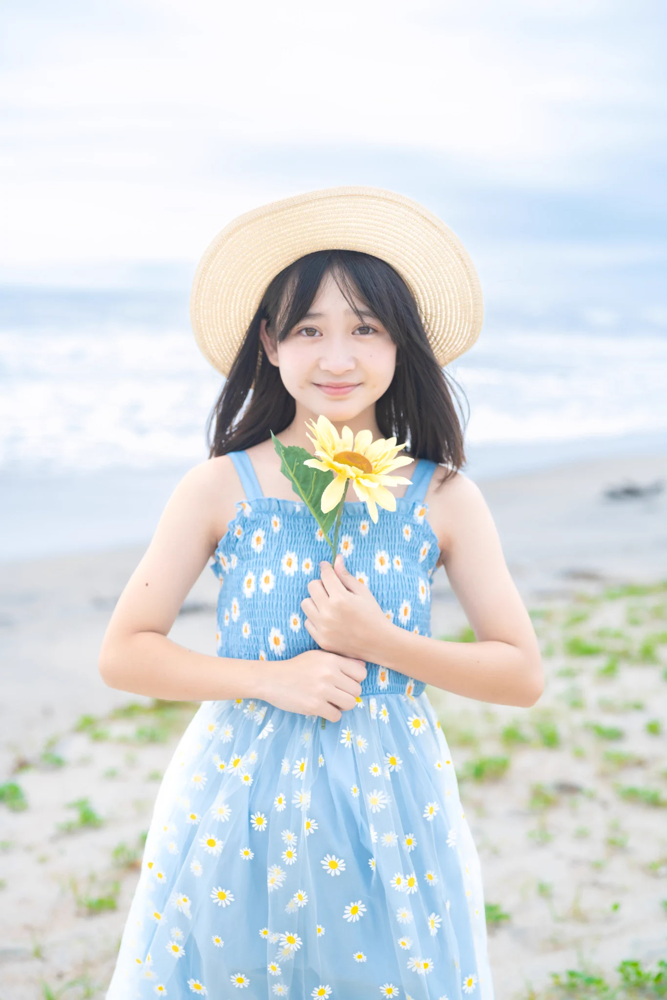 とらちゃん on X: 