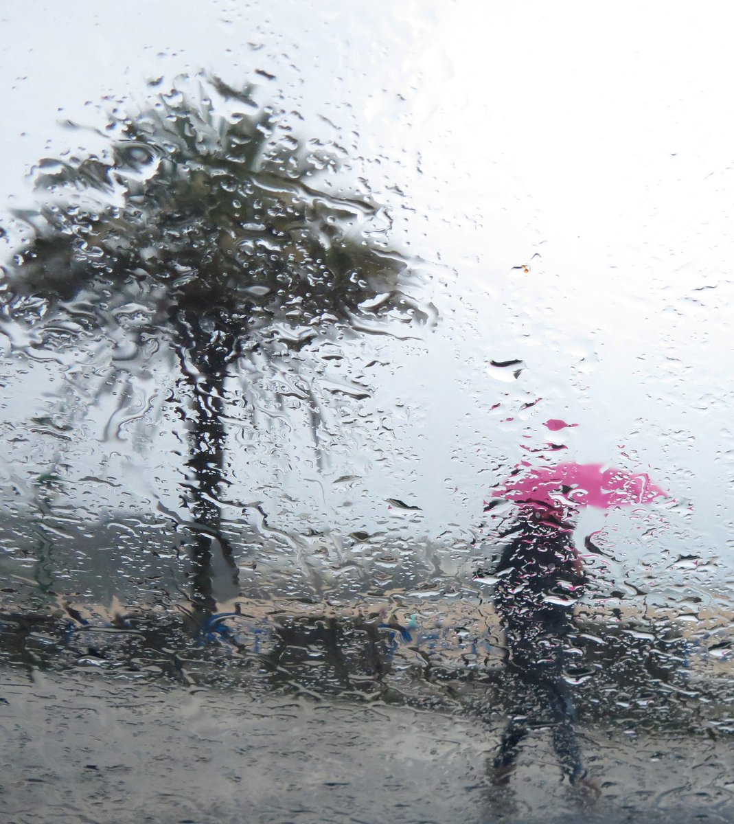 ratzfatz_peng's tweet photo. A stranger held the door for me in the pouring rain and handed me an extra umbrella they kept in their bag—small acts that turn a bad day around.， https://t.co/BCUzIi9tiV