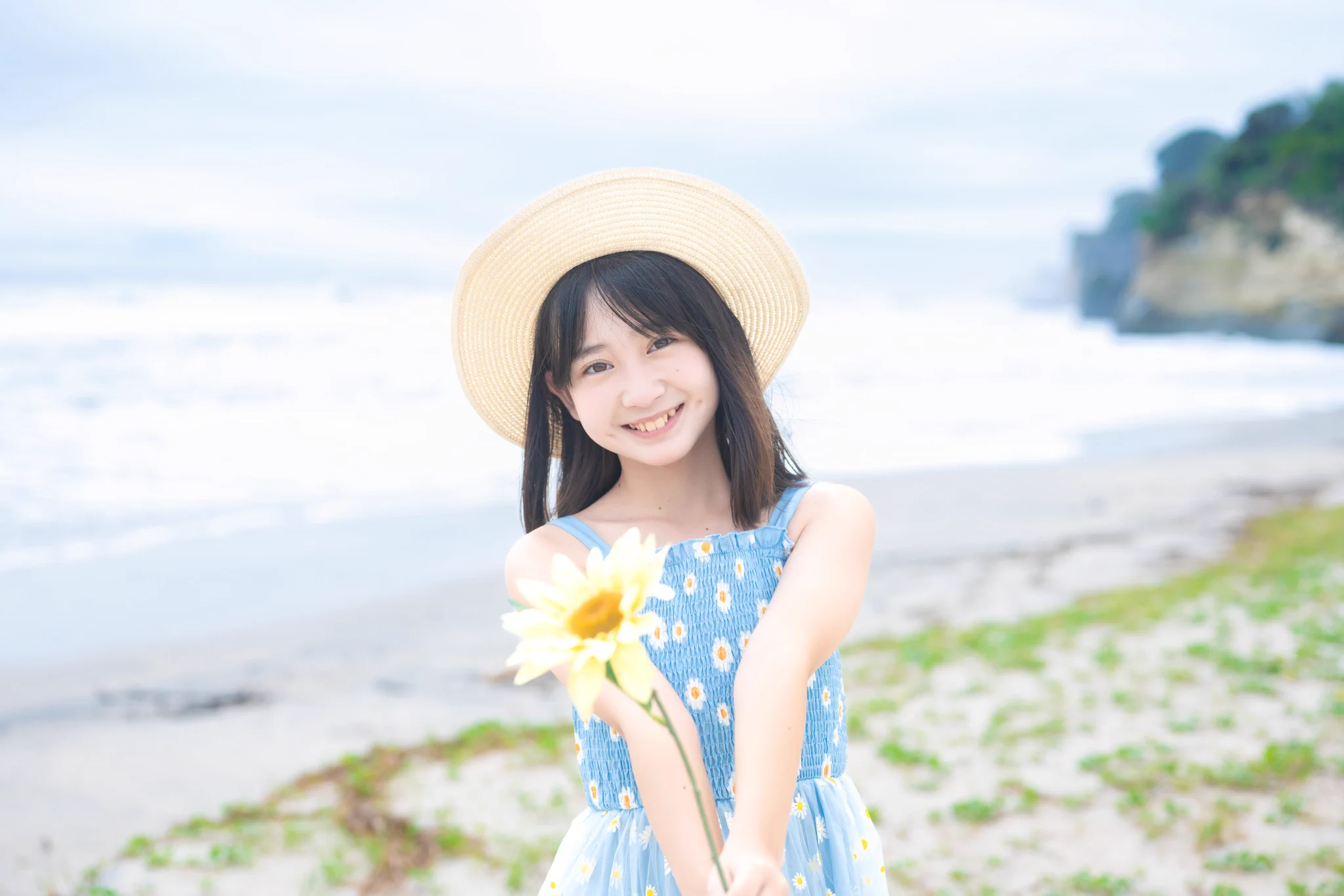 とらちゃん on X: 