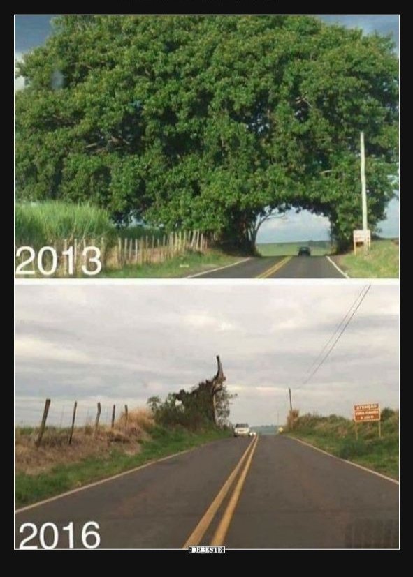 theepicmap's tweet photo. https://t.co/da4U6bF1mL