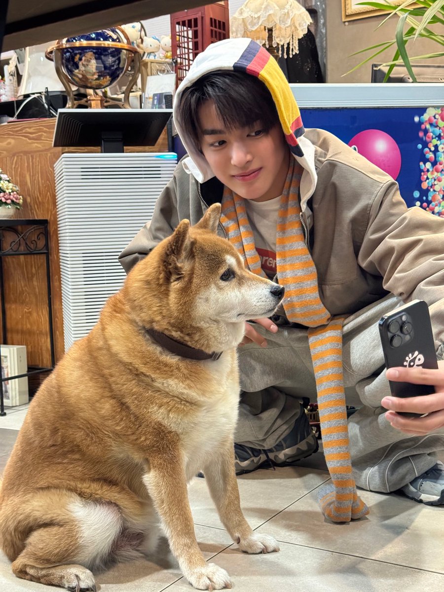 sseoyunqi's tweet photo. The method           🐶            The result https://t.co/7z5SR236cN