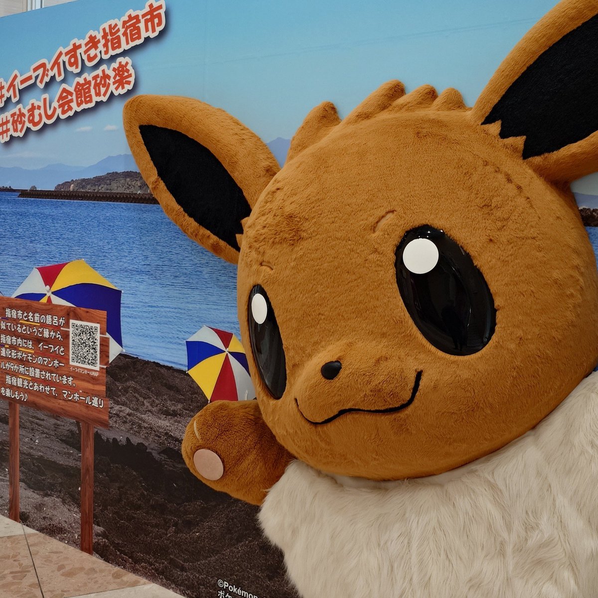 velten87's tweet photo. 指宿→イーブイ好き https://t.co/oH6HR6rCT5