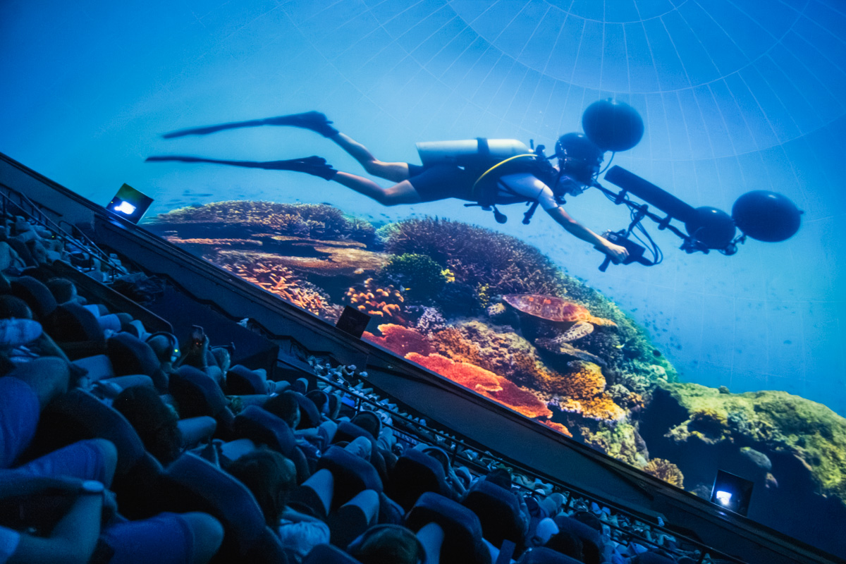 CACiencies's tweet photo. En l'#Hemisfèric viatges pels oceans mentre coneixes:

➡️Un espectacular món ple de vida sota les ones🐋

➡️Extraordinaris descobriments científics sobre els nostres mars 🤿

➡️Comportaments sorprenents d'alguns animals 🐙

#OceansCAC https://t.co/tYjf8qt9vK
