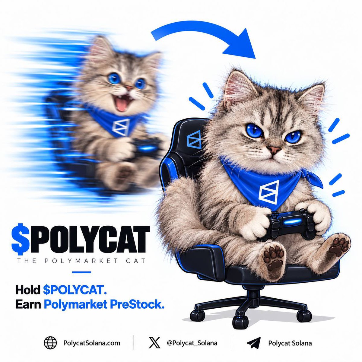 PolyCat_Solana's tweet photo. It’s go time…🚀🚀

Don’t get sidelined on this one

$POLYCAT https://t.co/Uj9FnsC7jJ