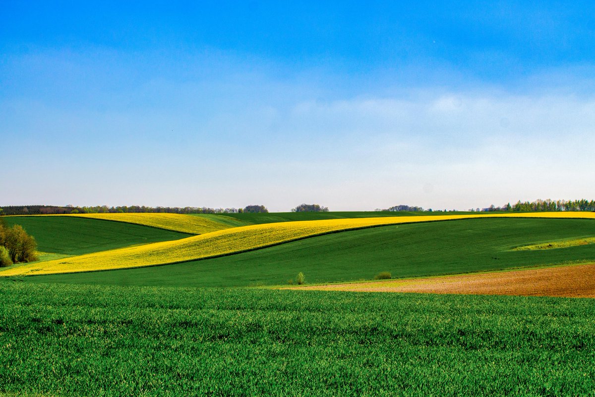 carwynjaydewog's tweet photo. Lately, the pale horizon settles over the fields. The future arrives in ordinary ways. An old promise. https://t.co/mrPoNcz6YO