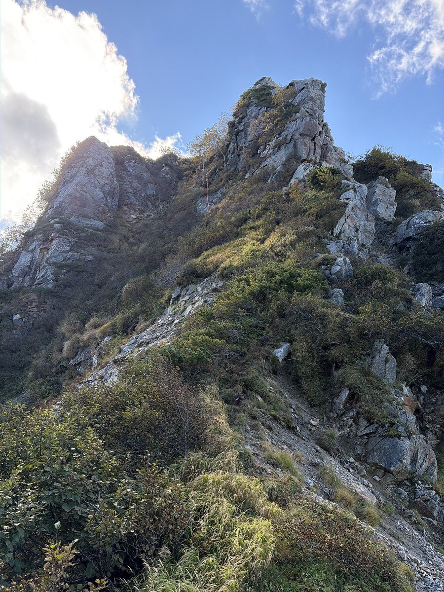 shige7973's tweet photo. 今日は朝方から9時頃までは綺麗に晴れ☀️
かねてより行きたかった池の平山北峰へ行って来た⛰️
懸垂下降と藪漕ぎ、ルーファイも中々の難度。
達成感あったわ✌️ https://t.co/JEA5BGPEhe