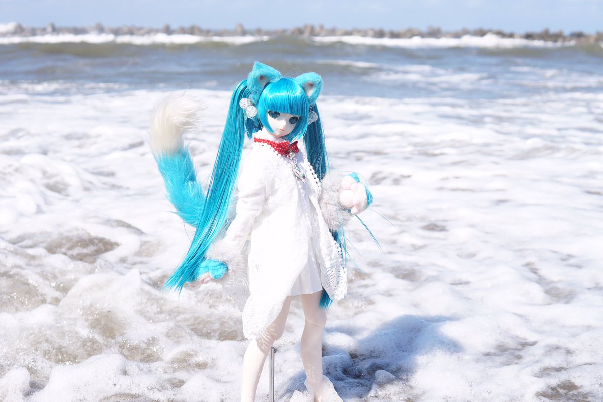 masamineko's tweet photo. 載せるのがつらい最期の写真。野外撮影用の頑丈なスタンドを忘れ、せっかく来たんだからと軽いスタンドで強行したのも馬鹿だ。撮影位置にはたまに波が届く程度だったのにいきなり強い波が来て転倒し持ってかれ、後はパニックに。許して許して許して許して https://t.co/PCKQji9wj0