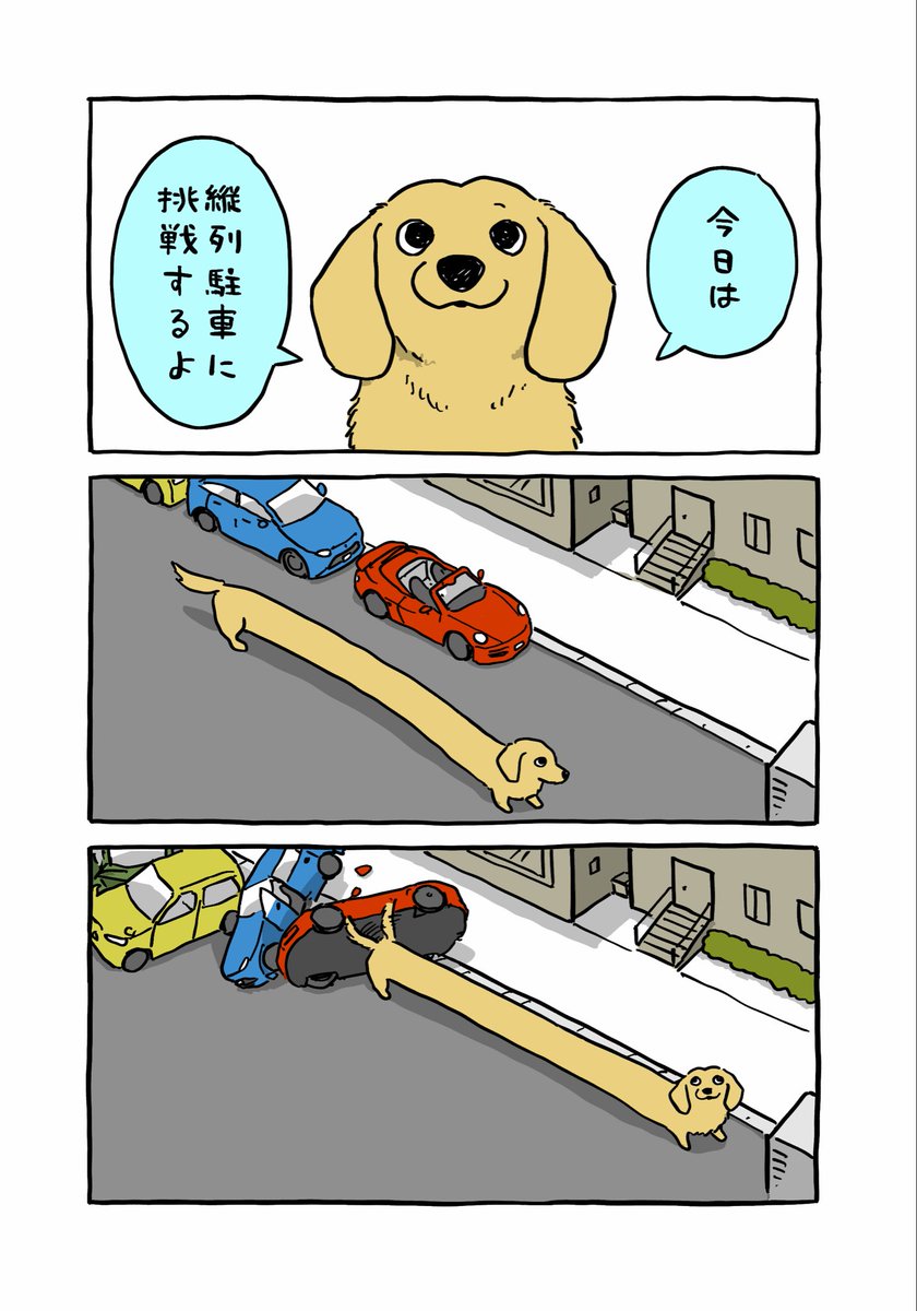 onoamane's tweet photo. 🚙🚗🐕🚚
#まじイヌ https://t.co/ecxLSV6H5x