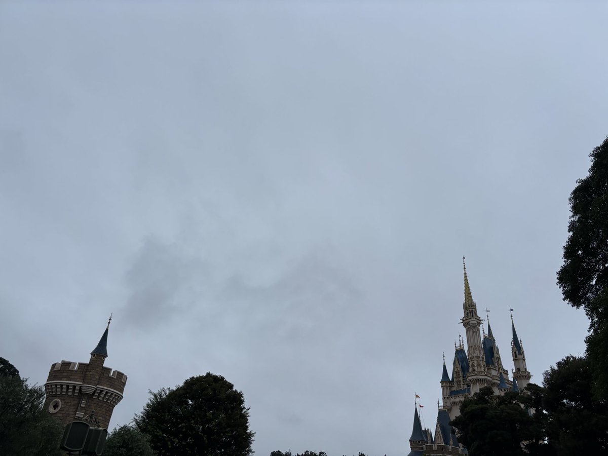 sana51max's tweet photo. 雨止んだけどキャングリ☂
オタク拭き上げやるのでなんとかやれませんか。 https://t.co/C84lsJCAPD