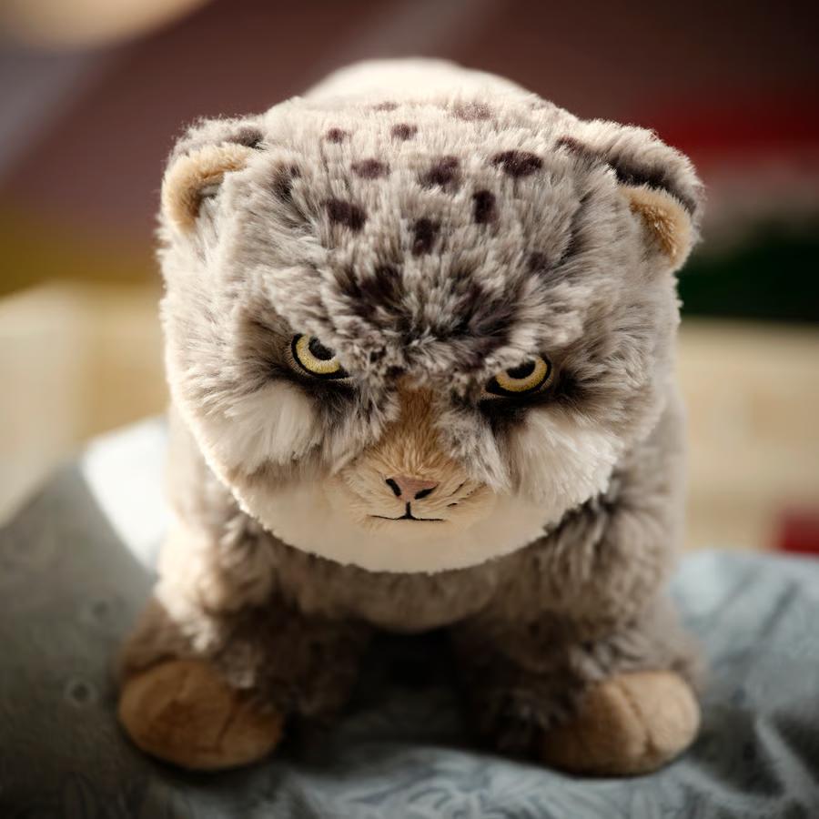 ogivus's tweet photo. Икея выпустит плюшевую игрушку со злым котёнком манула. Продажи должны стартовать уже 1 октября.

В Норвегии цена составит 129 крон или 1150₽. https://t.co/17qMbmpBYc