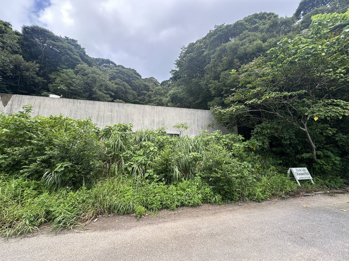 hoshiimo_014's tweet photo. ぽんぽこ花粉動画の聖地巡礼‼️カフェが本当にありえんくらい山奥で、対向車が来ないことをずっと願いながら運転してきた……… https://t.co/Sa3phas8FU