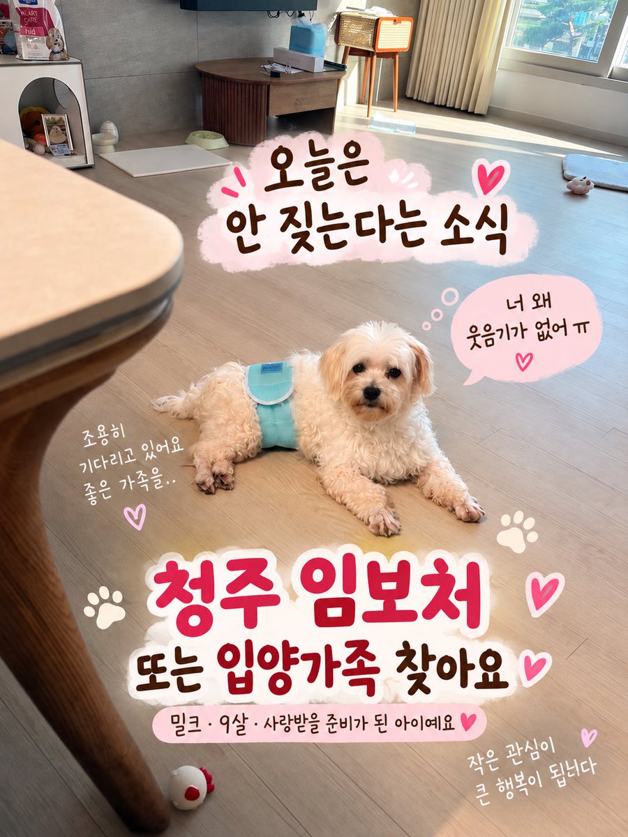 crescentia1224's tweet photo. 모두가 속상한 시간들이에요. 

우리 밀크 똑똑이인데 조금만 기다려주면 되는데… 밀크에게는 사상충 치료를 받을동안 임보처가 필요해요.🙏🏻 

미래의 가족분들 오고 계신가요? .. https://t.co/Yw3qB7reDJ