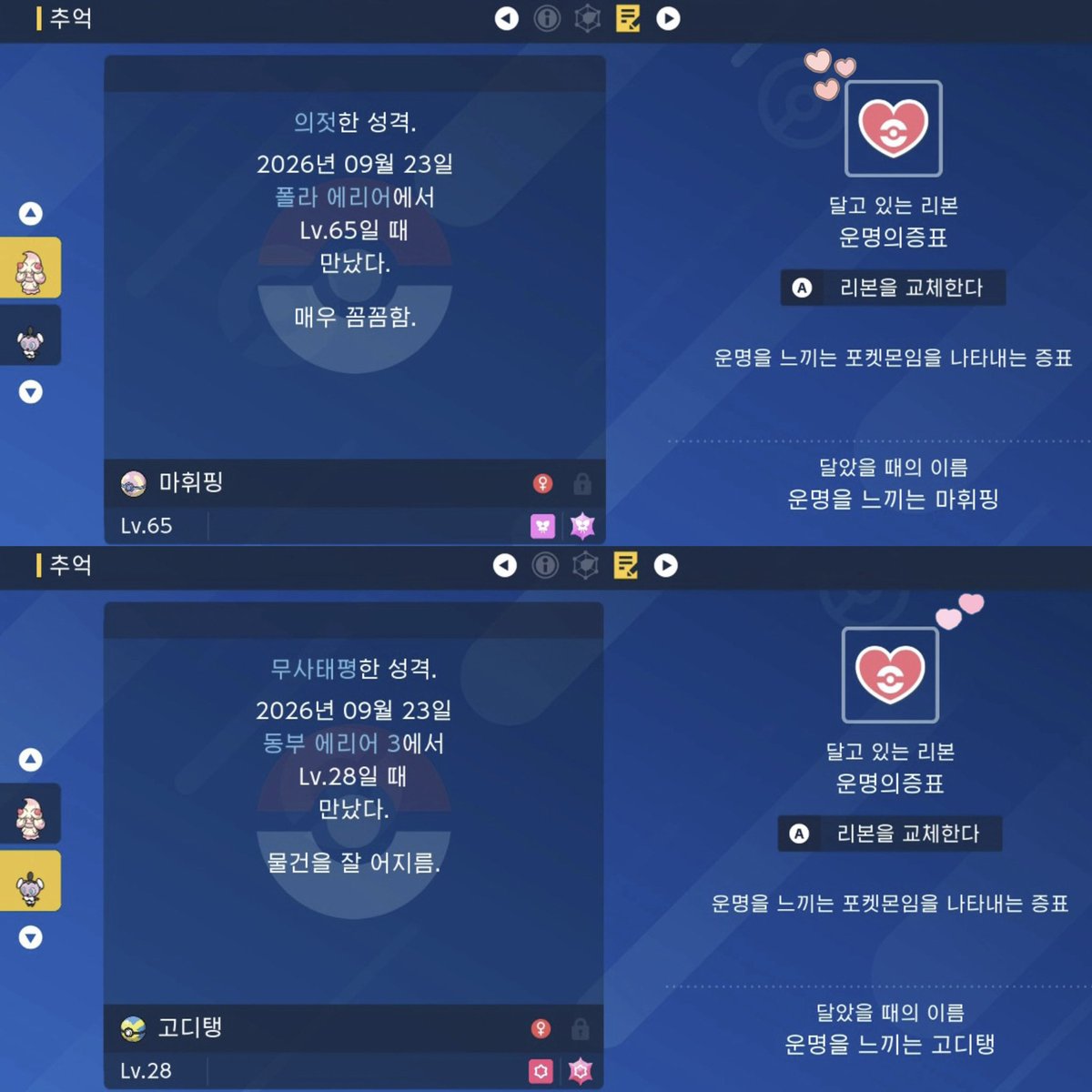 chutecak's tweet photo. 운명의 푸키를 만났어요 https://t.co/V1IPMLH0vZ