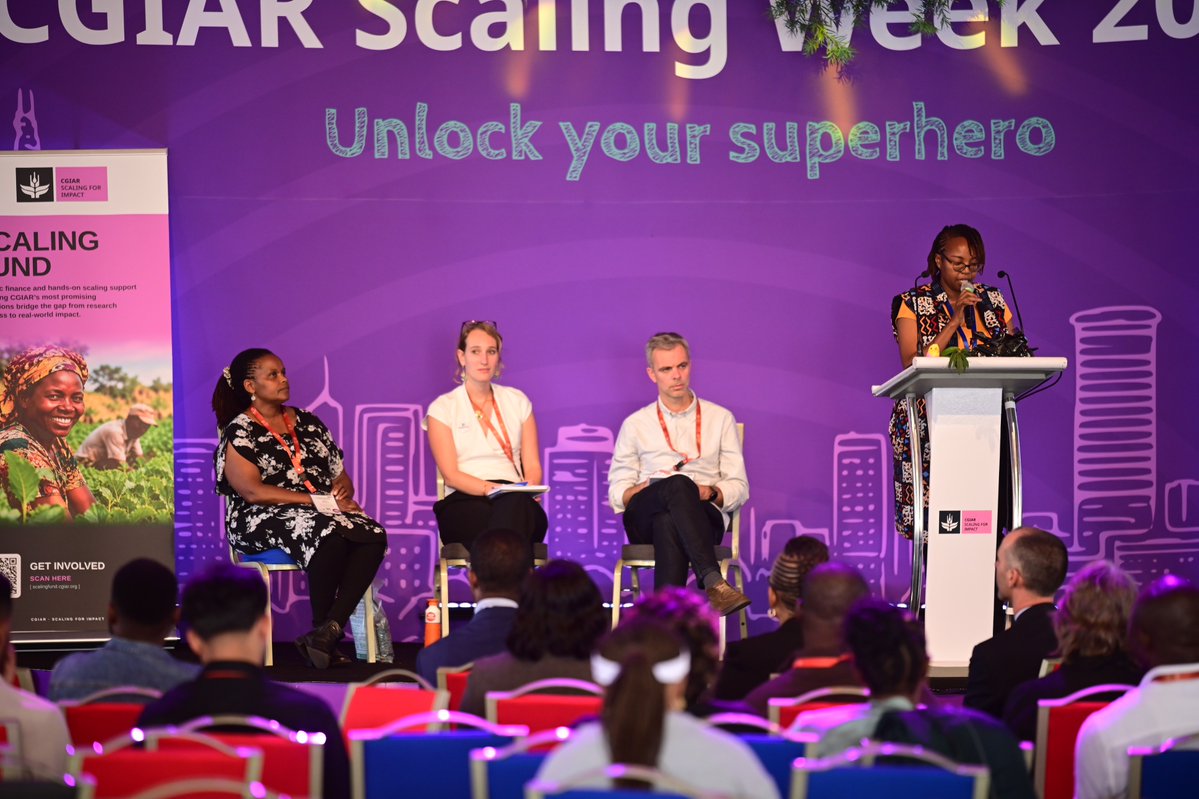 ILRI's tweet photo. What did 3 yrs of the @CGIAR Scaling Fund teach us about last-mile innovation? 🌱

At #ScalingWeek2026, @ILRI's Esther Kihoro explored equity &amp; responsible scaling with partners.

Dive into the lessons learned: https://t.co/omfyvpLoJ7 

#ImpactAtScale https://t.co/cvQY6mkwuu