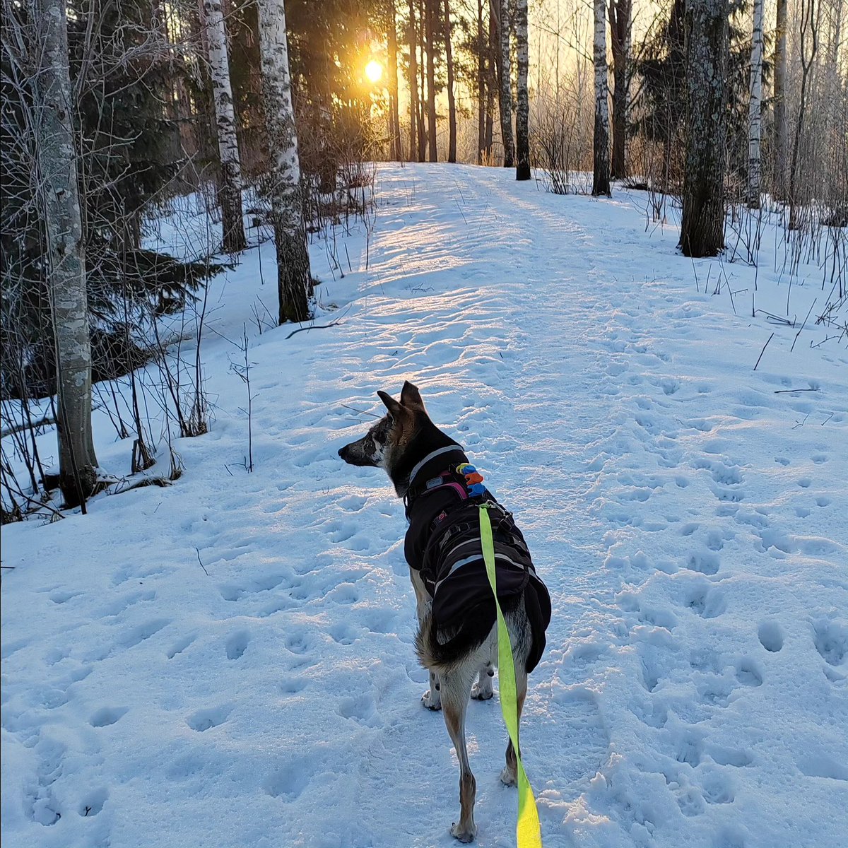 GrayceMayanlj's tweet photo. It’s lovely for a little stroll here; the sun even peeked out this morning. https://t.co/CLhWtp8dfp