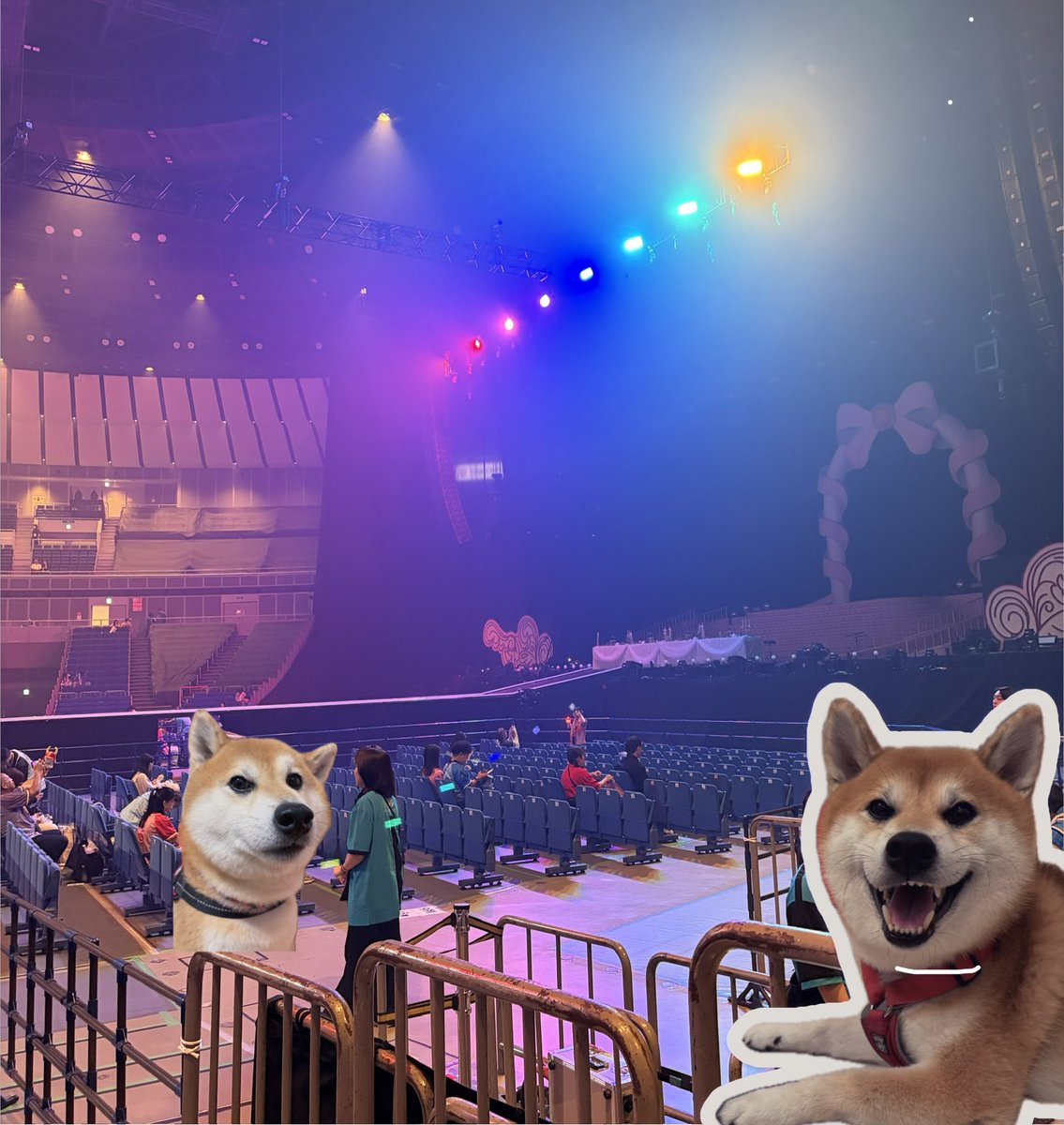 Fa04G's tweet photo. 横アリ着席🕺
管理番号ってステキやん https://t.co/k326nnvklY